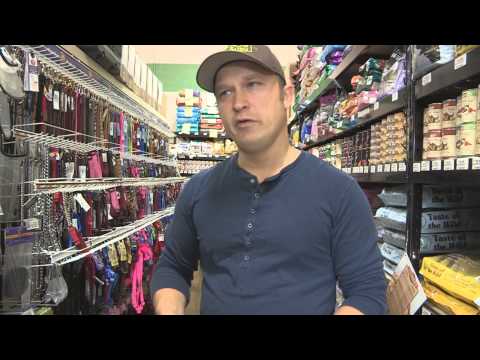 How to select a dog muzzle