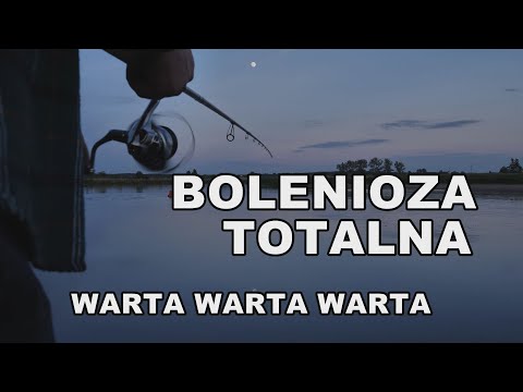 Spinning rzeczny w maju - rzeka Warta pełna ryb!!  (Golina)