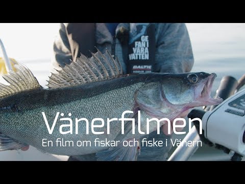 Vänerfilmen - Del 1: Vänern och fisket