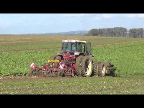 Landb. Holvoet - Silly