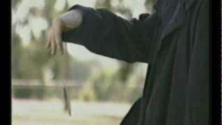 Seventh Lifeless Video