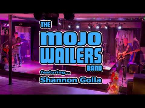 Promotional video thumbnail 1 for The Mojo Wailers Band