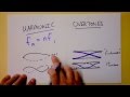 Standing Wave Harmonics or Overtones...what's the difference? | Doc Physics
