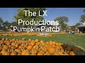 The LX Productions Pumpkin Patch Part 5e Out Of 5