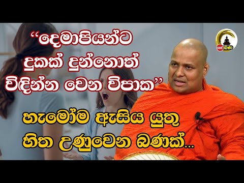 Kuttikulame Pemalankara Thero l Meth Neth Pamula l 2025 01 26