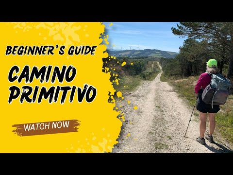 Beginner's Guide Camino Primitivo