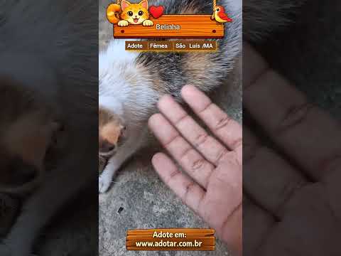 Vídeo de Belinha 