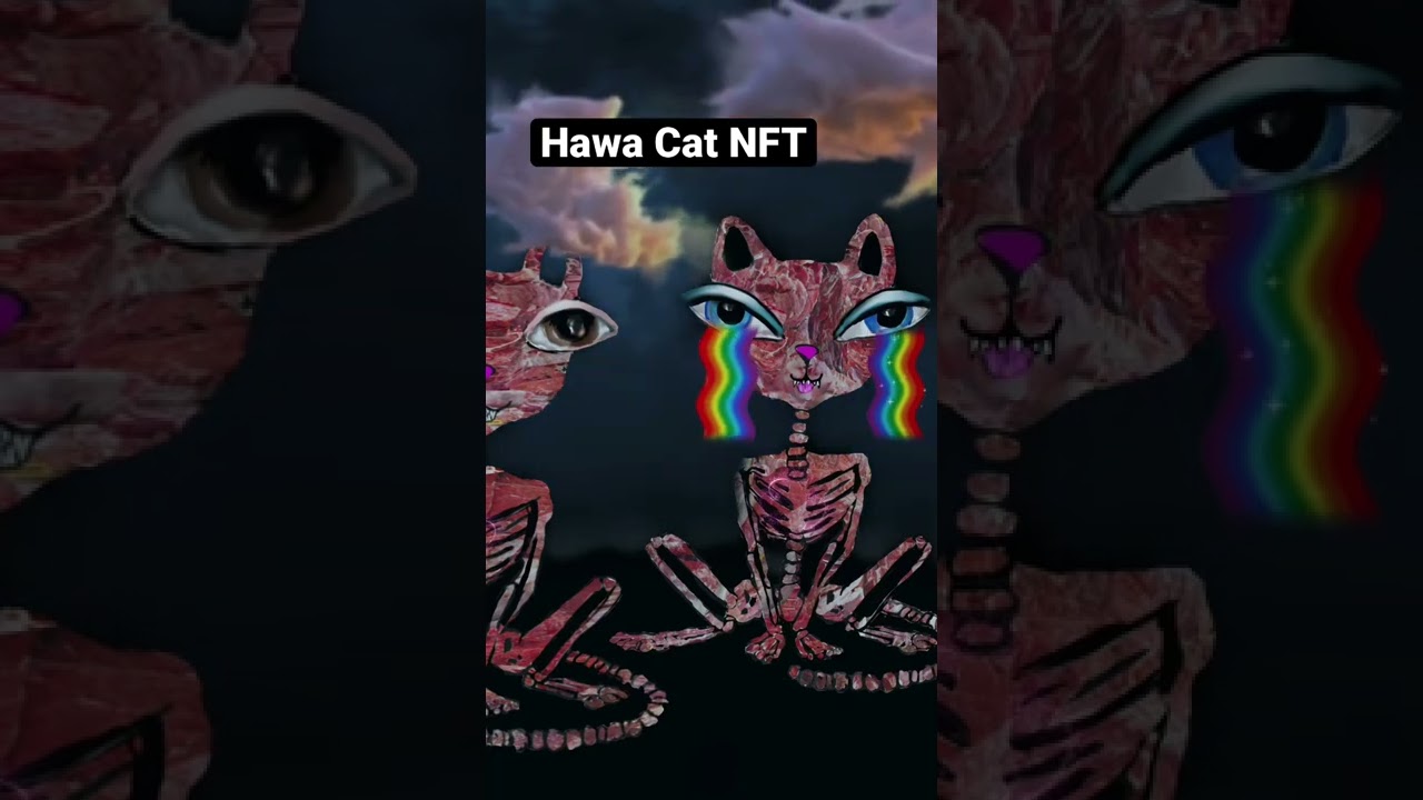 NFT Hawa Cat 🌹 LOVE IS ETERNAL🌹 on opensea .07 ETH & polygon  Collection