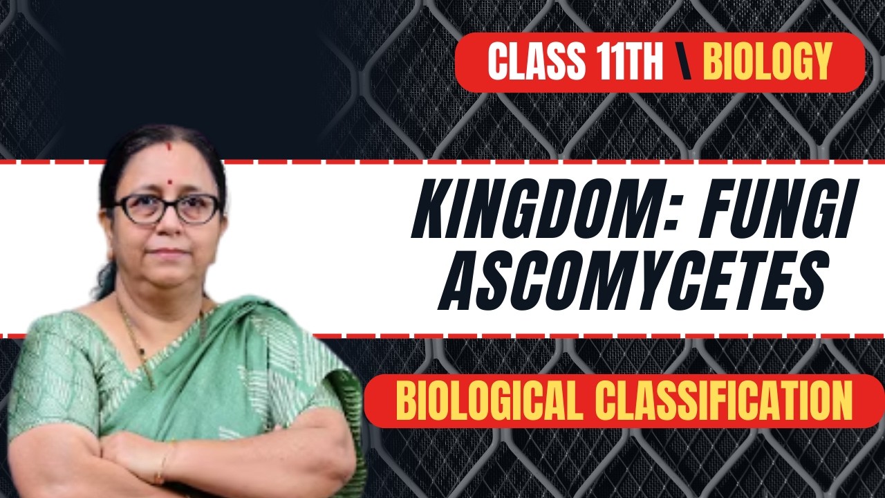 Kingdom: Fungi Ascomycetes | Chapter 2 Biological Classification | Class 11 Biology | CBSE + NEET