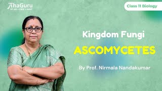 Kingdom: Fungi Ascomycetes | Chapter 2 Biological Classification | Class 11 Biology | CBSE + NEET