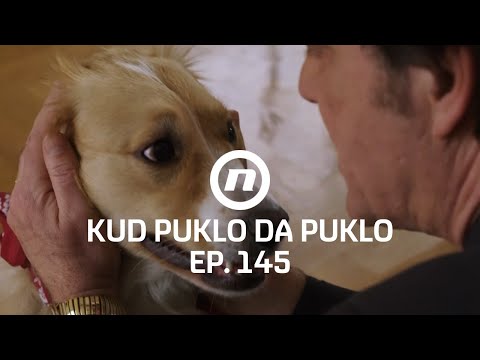 Don Ante uvodi reda u životinjskom svijetu - Kud puklo da puklo - epizoda 145