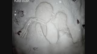 Kate Bush    50 Words for Snow Full Album
