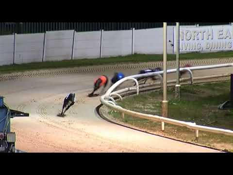 2017 WILLIAM HILL NOTRTHERN ALL ENGLAND CUP - HEAT 5 - T3 DROOPYS EXPERT