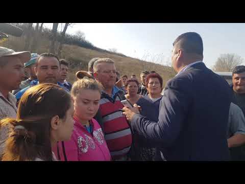 Revoltă la Comănicea după ce s-a declarat focar de pestă porcină africană