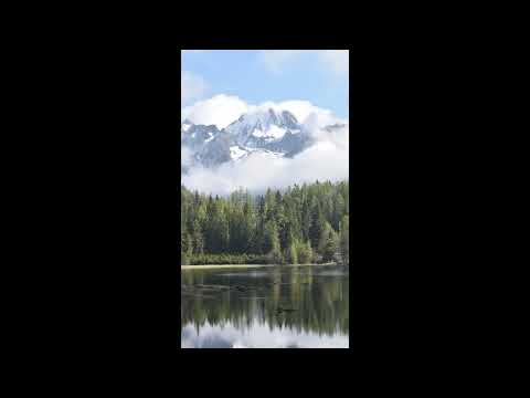 Deep Sleep Music | Healing Music | Meditation Music | Relaxation Music | Study Music | Zen Music 336