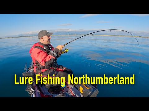 Cracking Summer Lure Session - Multi Species in Northumberland - Kayak Sea Fishing UK