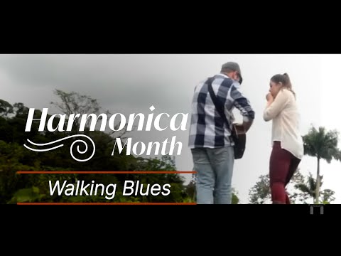 INDIARA SFAIR | Walking Blues | Harmonica TAB