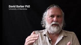 David Barber PhD: How Sea Ice Affects the Arctic Food Chain