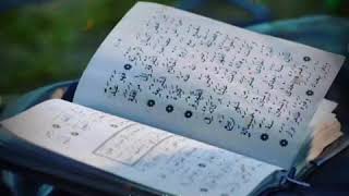 Download lagu STORY WA AL KHIDMAH mp3