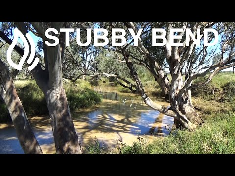 Stubby Bend Camping area - Tambo, Queensland