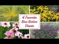 2026's Best New Plants: 4 Native Perennials for Sun #perennialgarden #nativeplants #pollinatorgarden