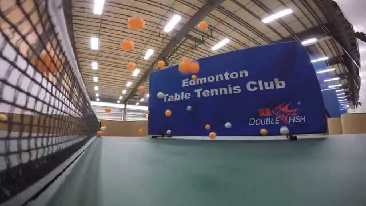 Bouncing Ping Pong Balls 1