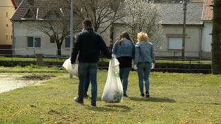 Környezetszépítők