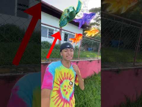 I Made a Fish Trap #comedy #humor #lifehacks