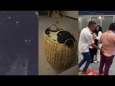 Videos with unexpected ending #25🤯