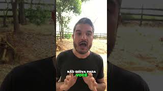 SE VOCÊ COMETE ESTE ERRO SEU CÃO IRÁ TE AVISAR