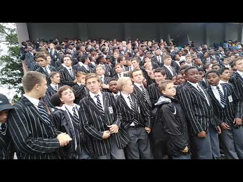 Selborne - gwijo, jumayma