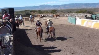 preview picture of video 'Banda Valparaiso 24 de Diciembre Rodeo de los Perez'