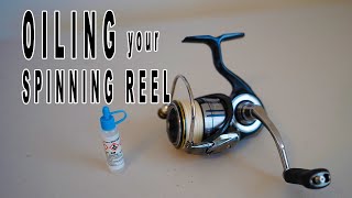How to Properly Oil Spinning Reel