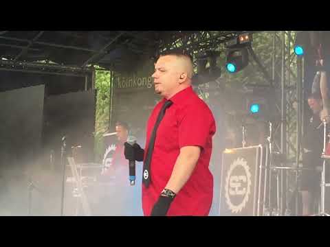 Amphi 2016 Solitary Experiments-Delight