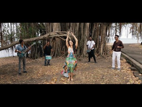 Kokofaya - Lizour pe levé