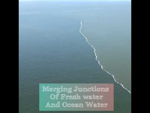 Two Ocean Meets but Never Mix - Jasleen