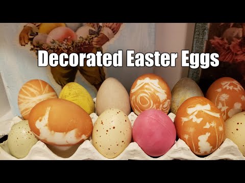 download lagu mp3 mp4 Natural Dyed Eggs With Flowers, download lagu Natural Dyed Eggs With Flowers gratis, unduh video klip Natural Dyed Eggs With Flowers