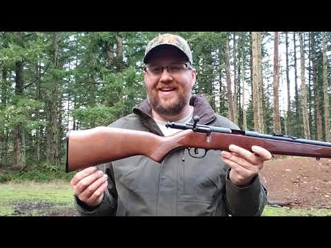 What Is The Funnest Gun To Shoot? Review and Plinking - Savage Model 93G 22 Magnum