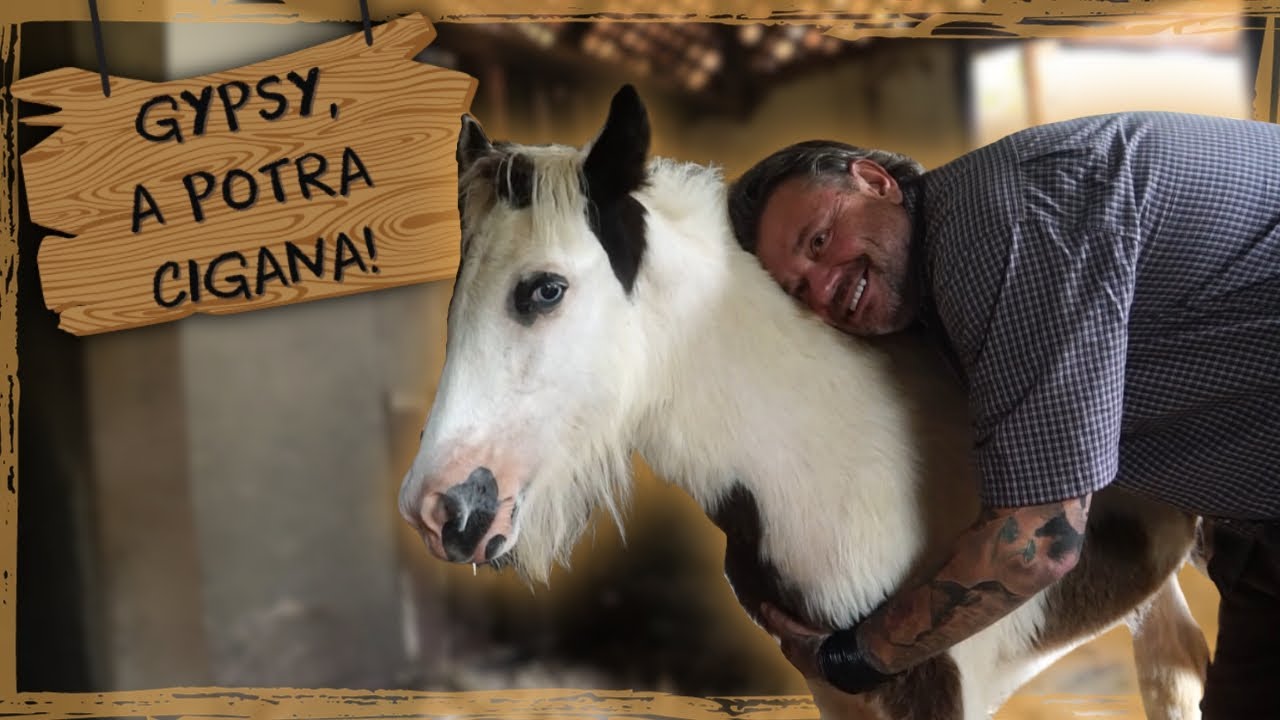 CONHECENDO GYPSY, A NOVA ESTRELA DA CASA DOS BICHOS!