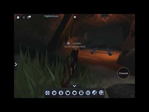 How to find the moonstone in warrior cats:ultimate edition