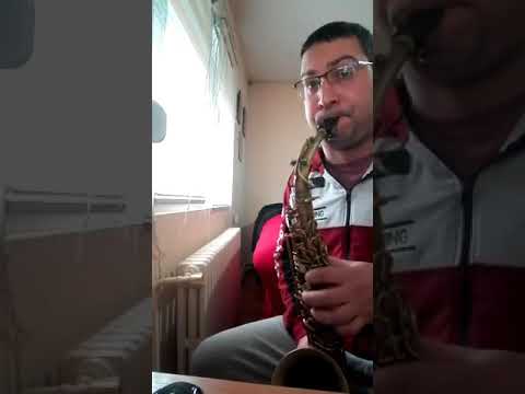Maki Sax-Jedna lepa Makedonska tema od Fazlija i Idaeta