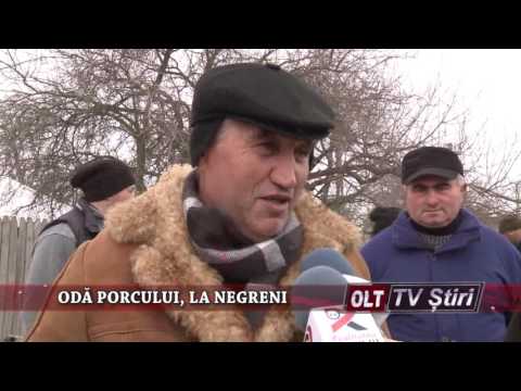 ODA PORCULUI LA NEGRENI 2301