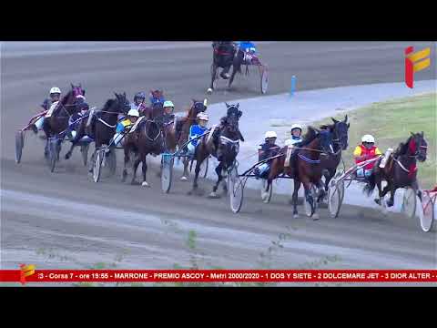 VII Corsa del 24 Giugno 2023 - 4 Anni - Metri 2000/2020 - Gentlemen