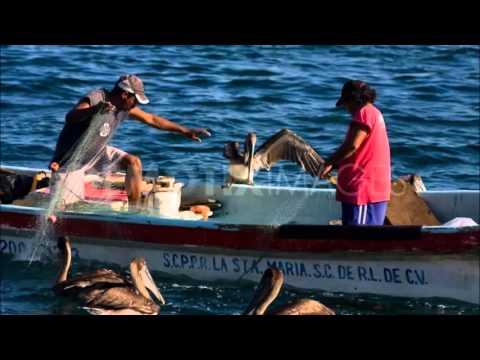 VAMOS GENTE DE MI TIERRA, C0N PATRIA PARA TODOS-PPT