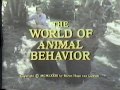 Jane Goodall Wild Dogs Of Africa The World Of Animal Behavior