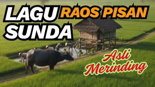 Download lagu SULINGNYA BIKIN MERINDING! KOLEKSI POP SUNDA LAWAS PALING ENAK DIDENGAR SEPANJANG MASA mp3