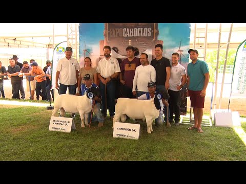 Criadores do nordeste participam da 12ª Expocaboclo em Caldeirão Grande 26 11 2022