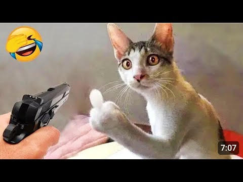 Funniest Animals 2023😍Best funny animals video 2023