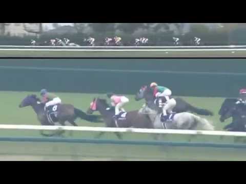 2015.03.29 Takamatsunomiya Kinen (JPN) - Aerovelocity