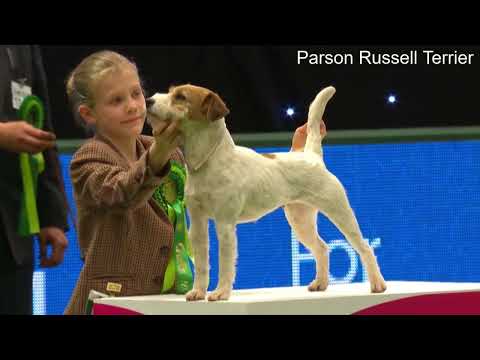 The Two Russell's, A Quick Comparison